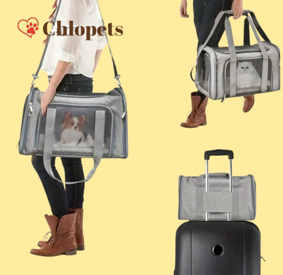 Sac de voyage