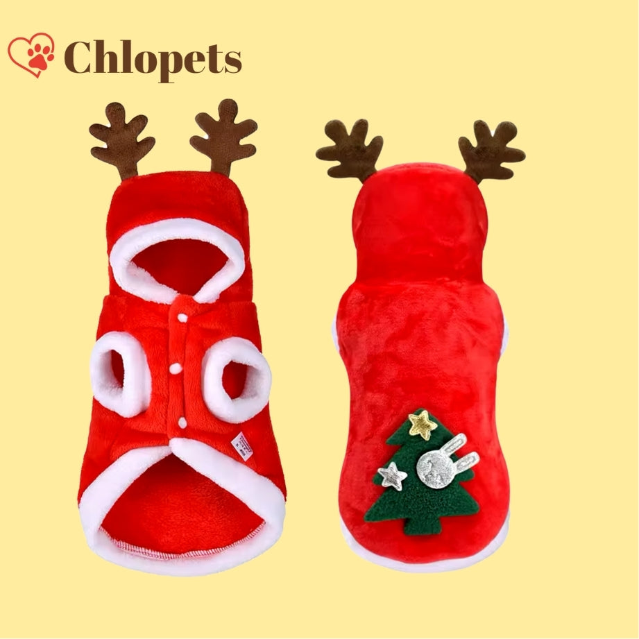 Vêtements de Noël