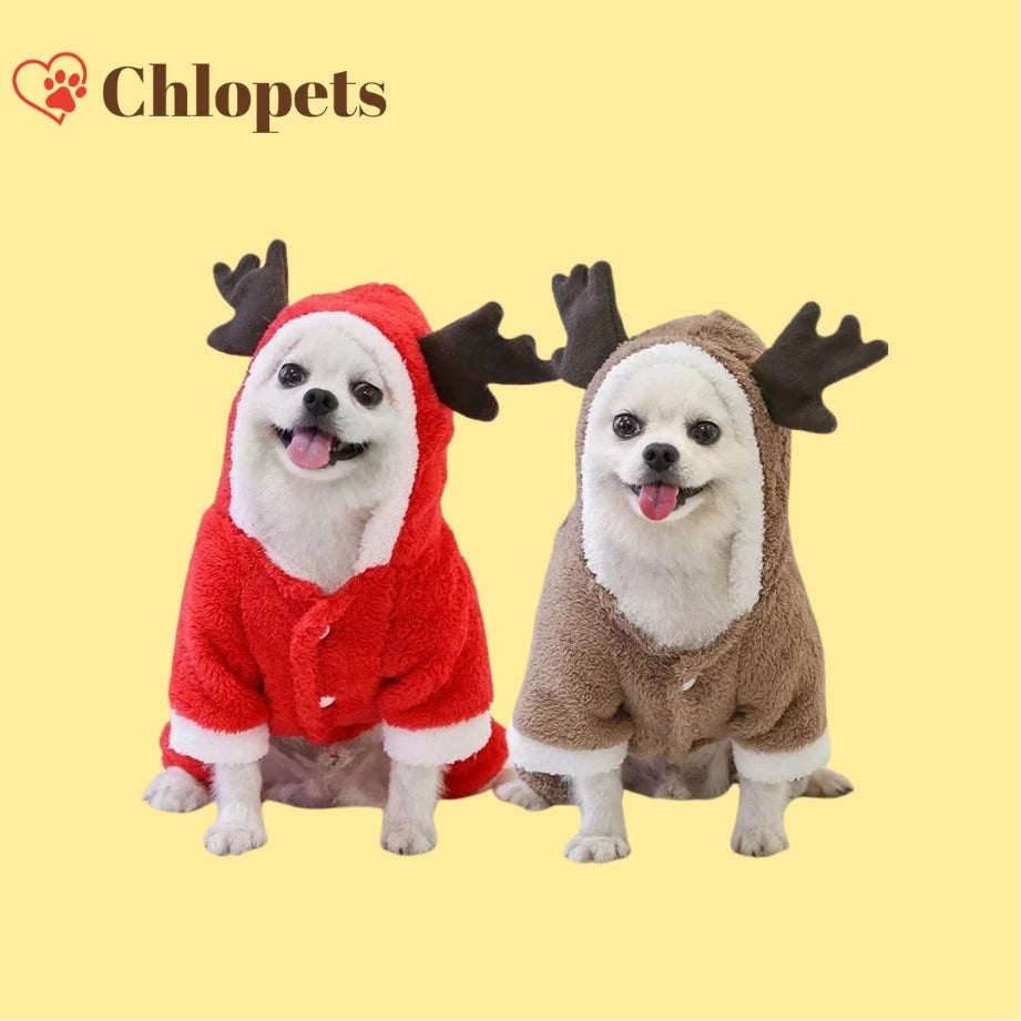 Vêtements de Noël