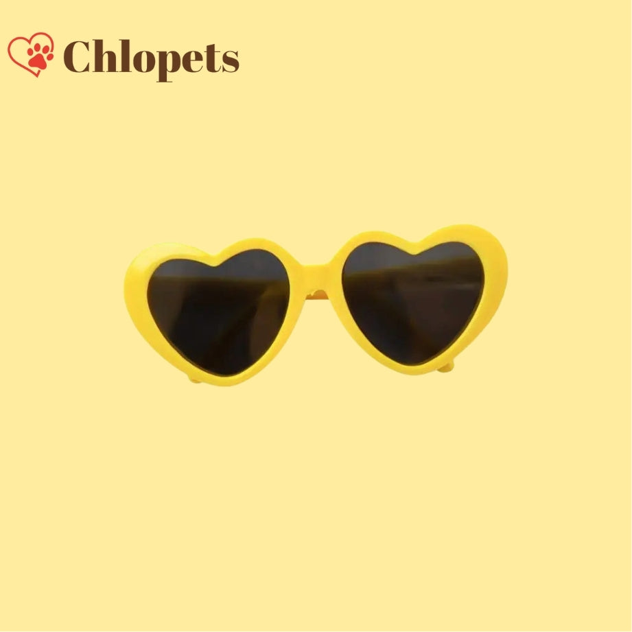 Lunettes iconiques