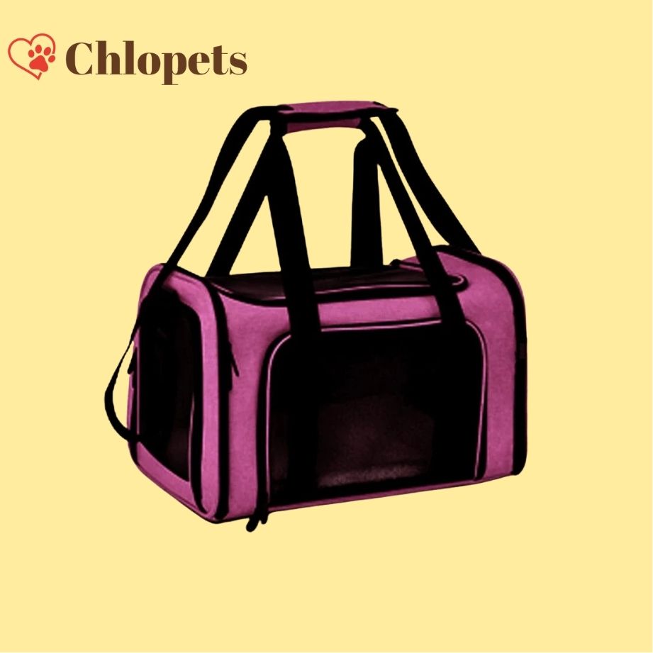 Sac de voyage