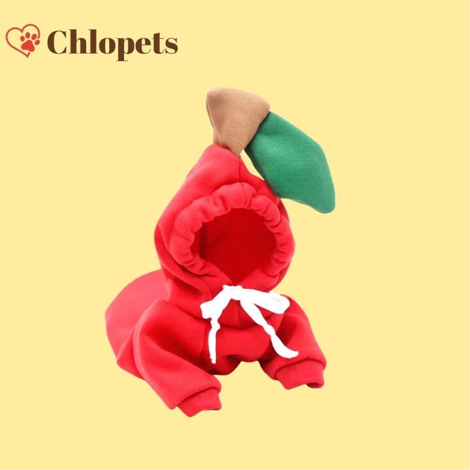Pulls à capuche