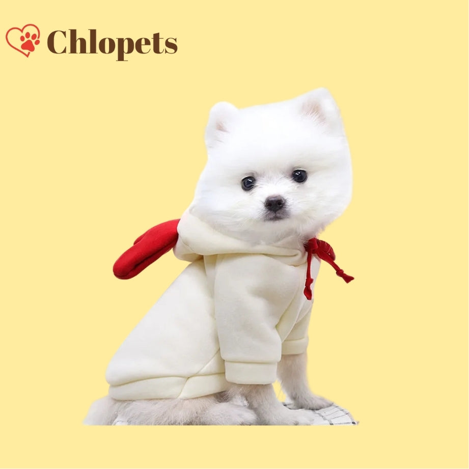 Pulls à capuche