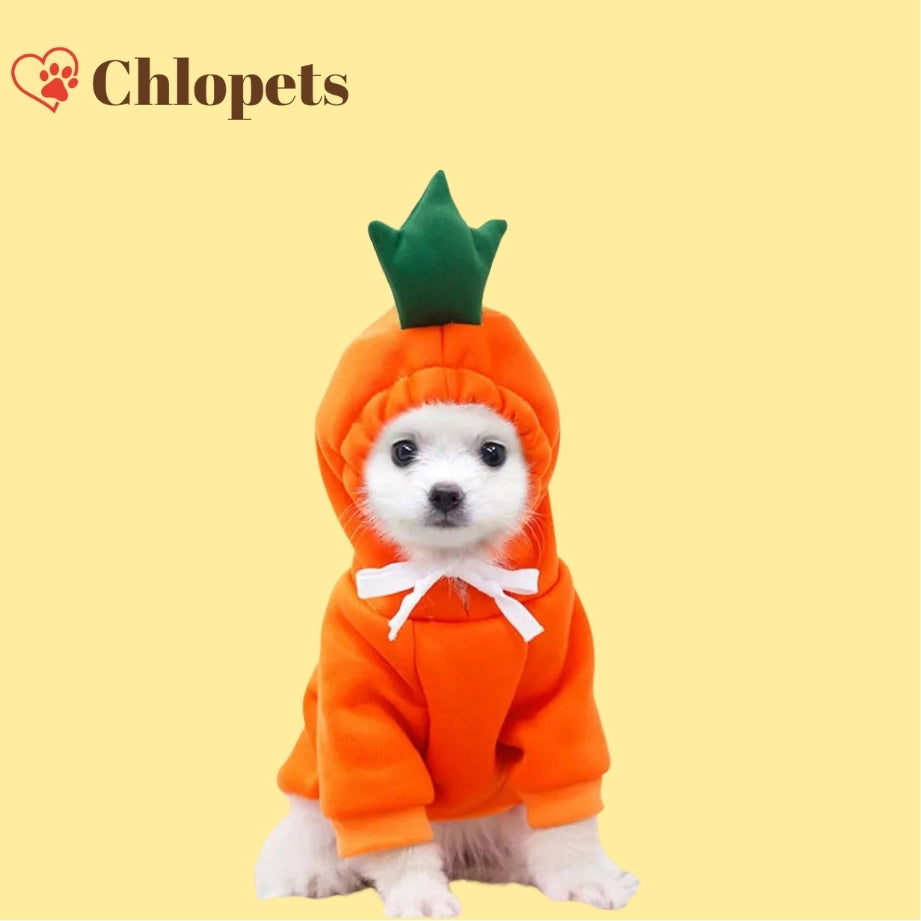Pulls à capuche