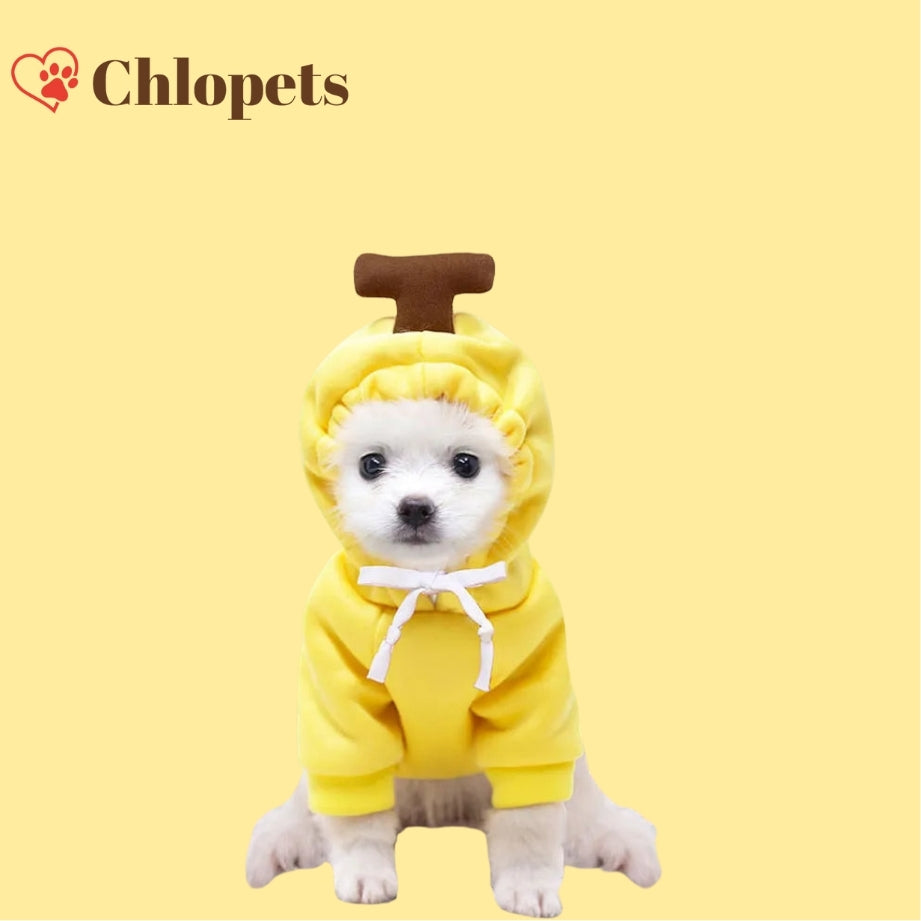 Pulls à capuche