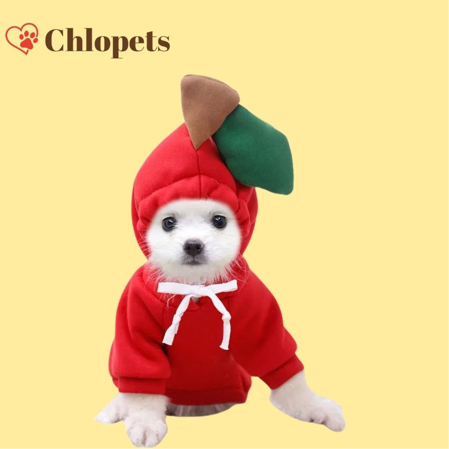 Pulls à capuche
