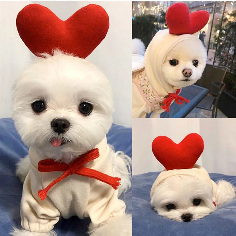 Pulls à capuche