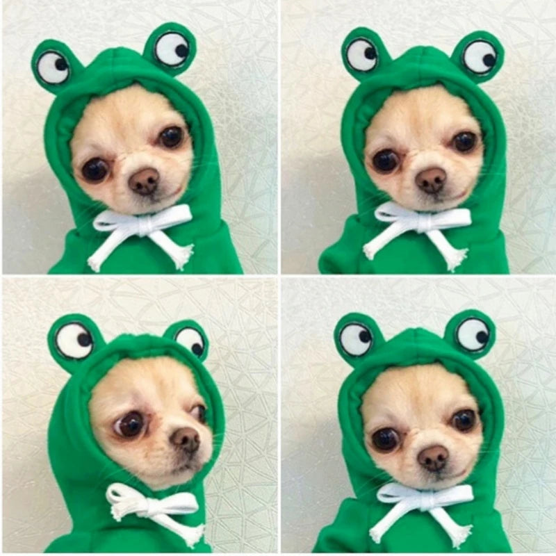 Pulls à capuche