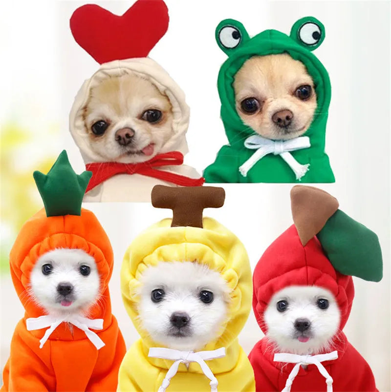 Pulls à capuche