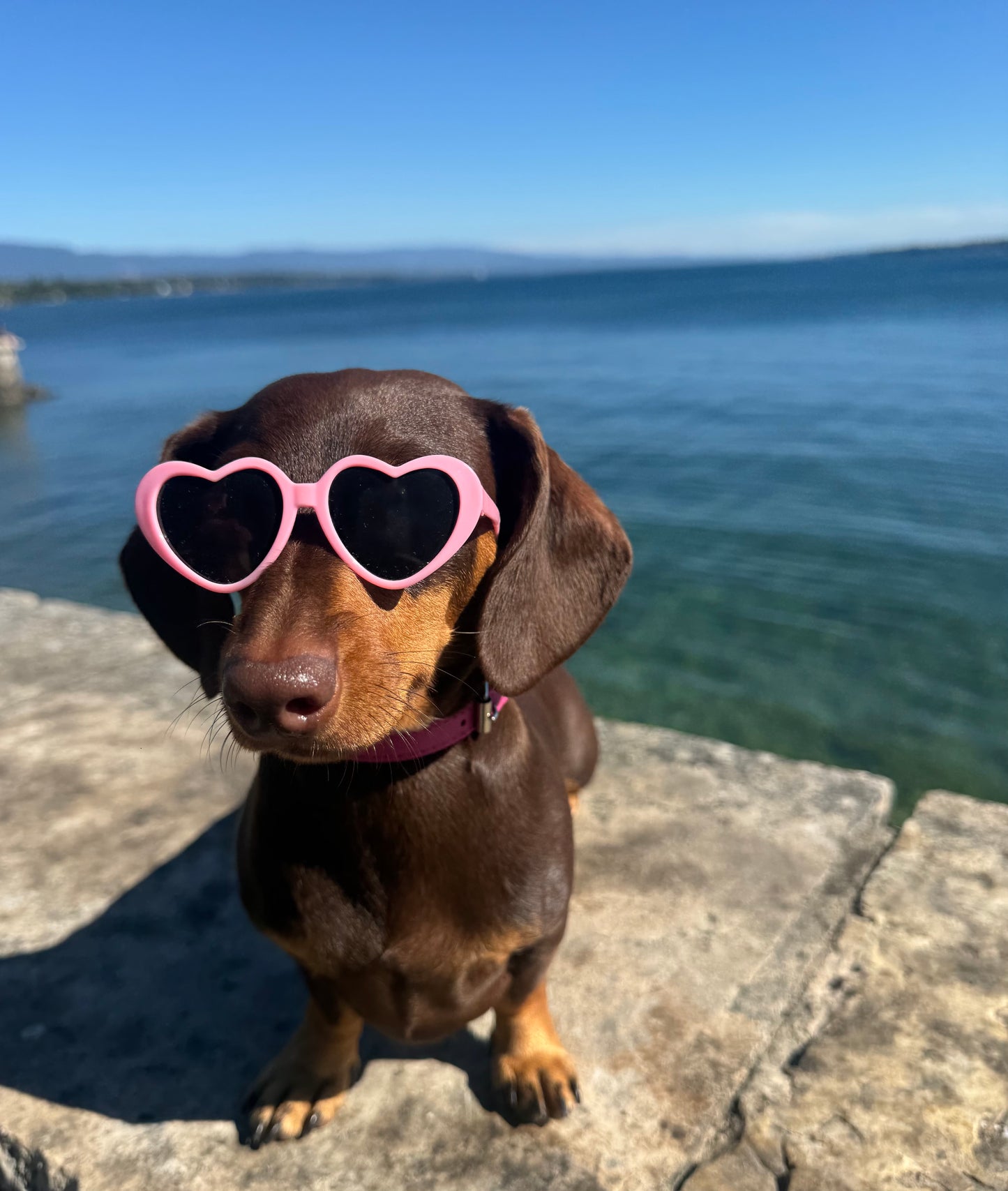Iconic glasses