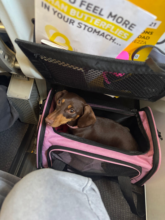 Sac de voyage