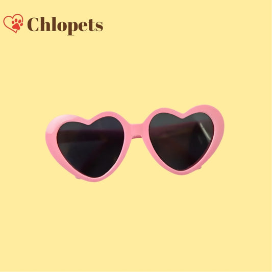 Lunettes iconiques