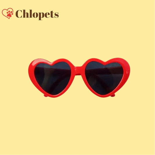 Lunettes iconiques