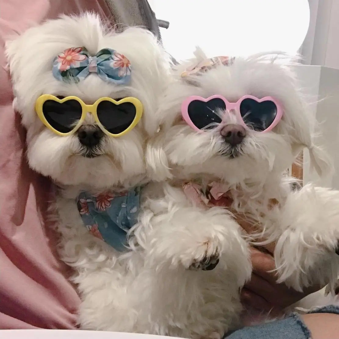 Iconic glasses