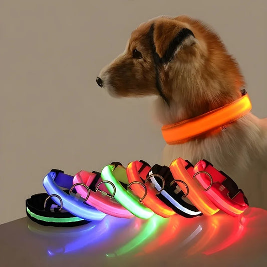 Lighted LED Collar