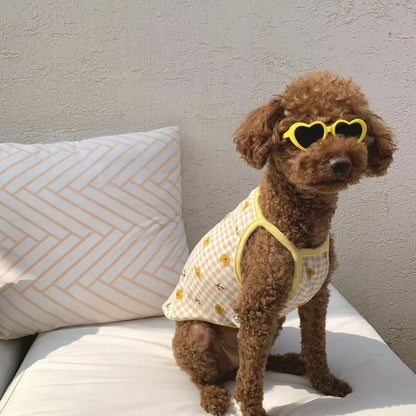 Iconic glasses
